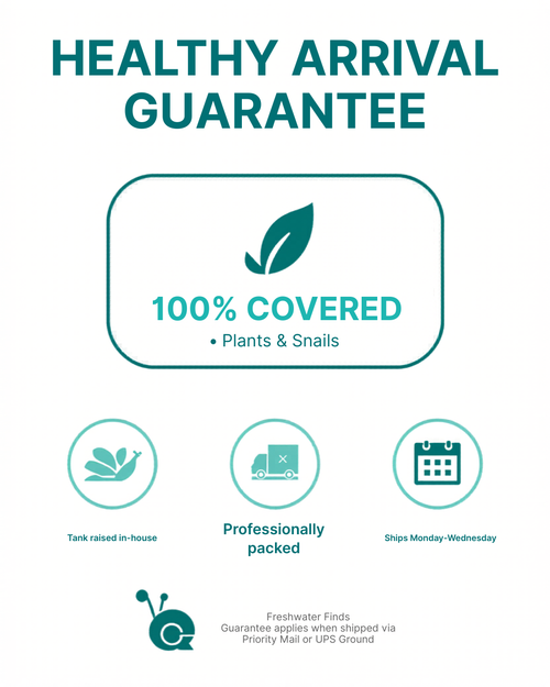 Healthy Arrival Guarantee