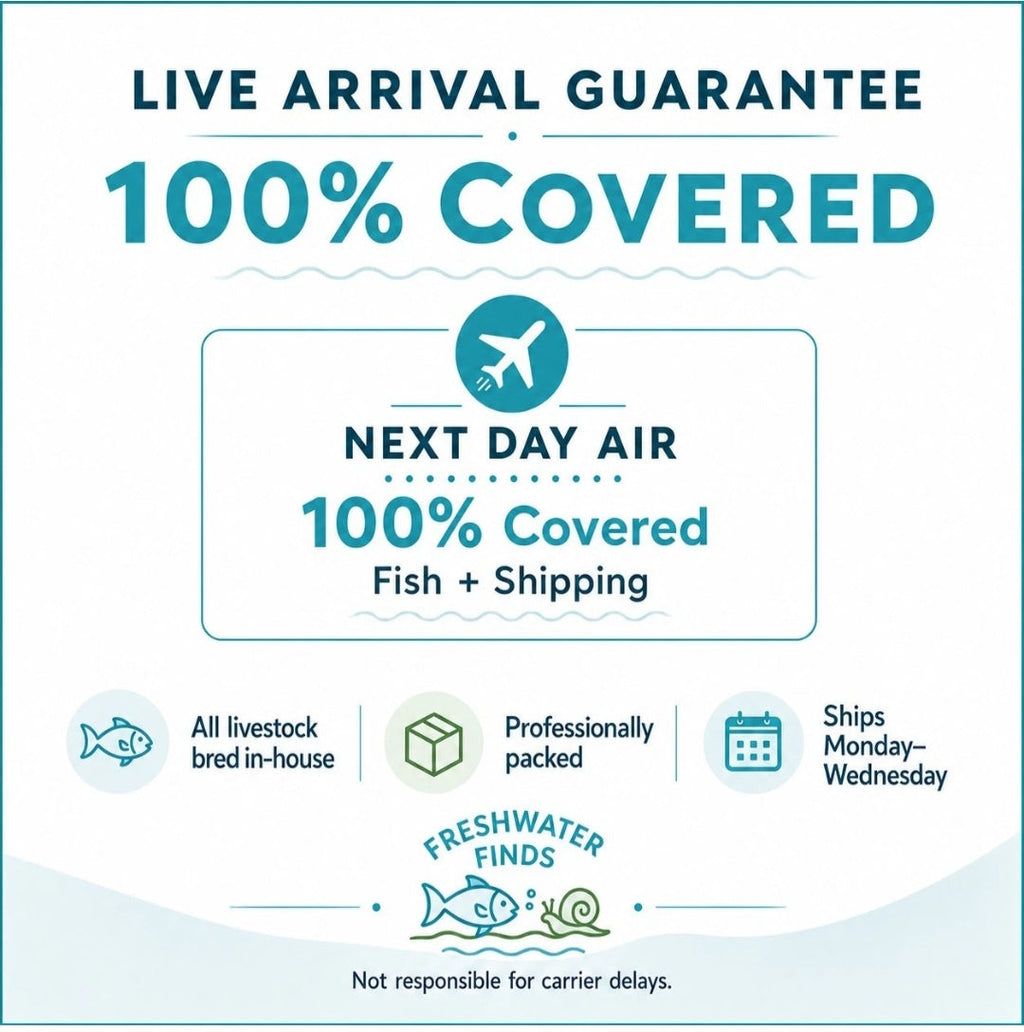 Live Arrival Guarantee