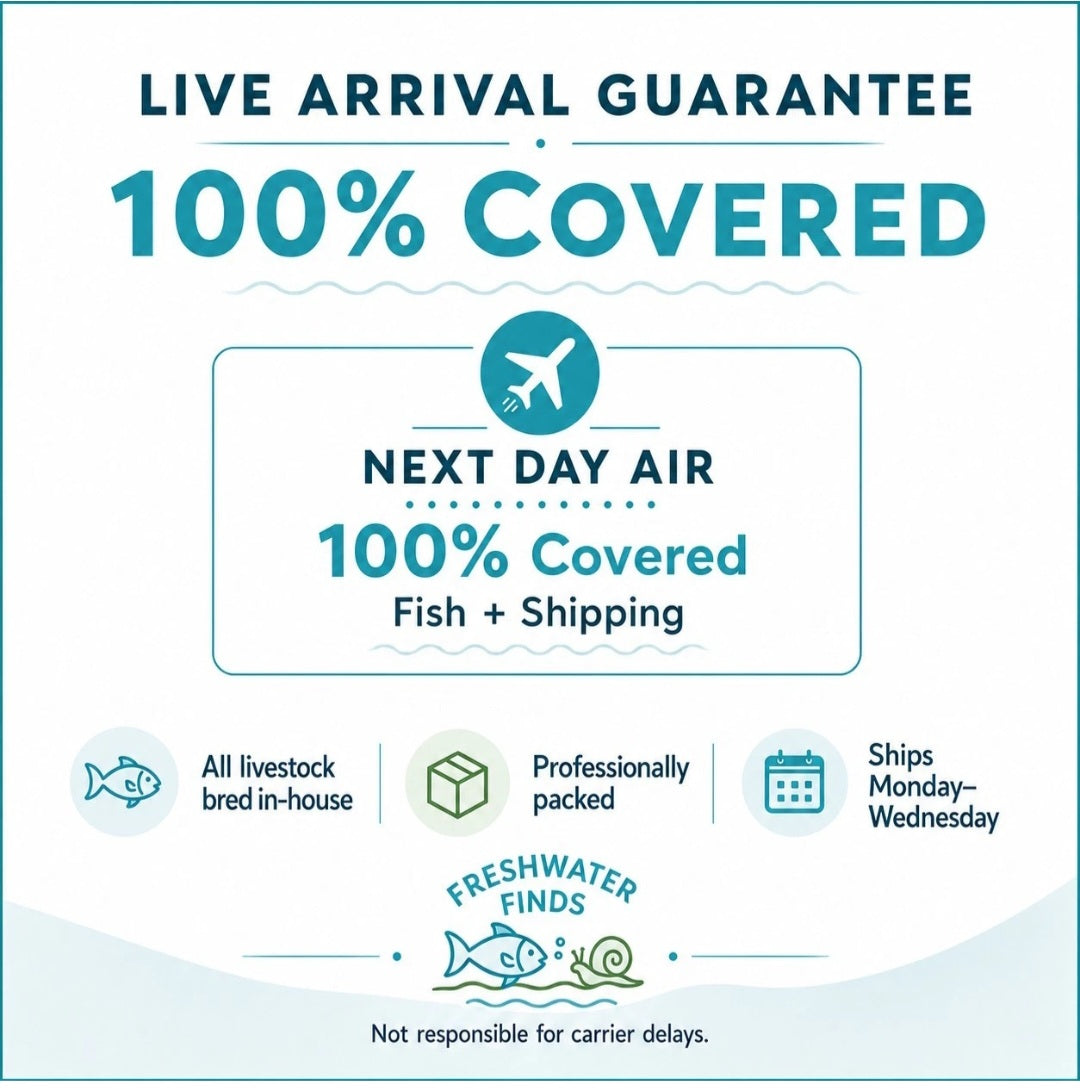 Live Arrival Guarantee