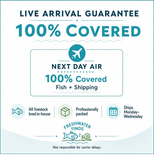 Live Arrival Guarantee